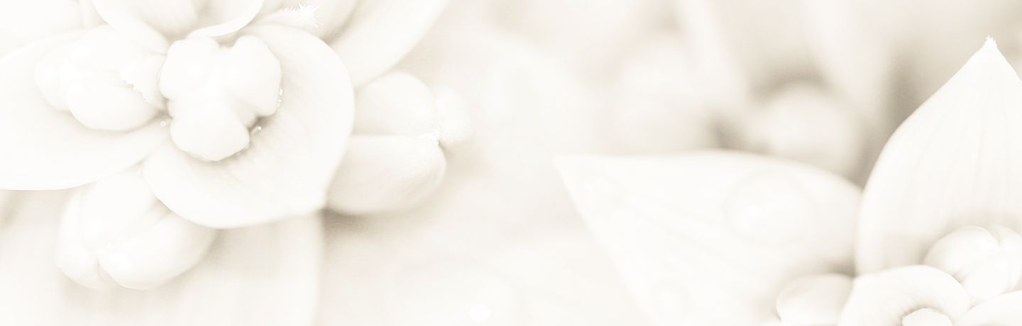 Colorado Wounded Healers